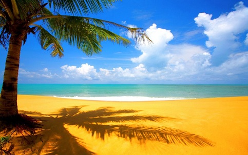 Summer sands summer_sands